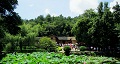 長沙出發(fā)到花明樓、韶山、張家界國家森林公園、天門仙山國家森林公園四日游